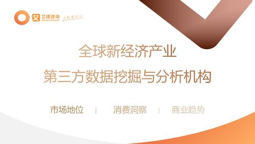 2023年中国信创产业发展白皮书 防雷器行业技术革新与市场前景